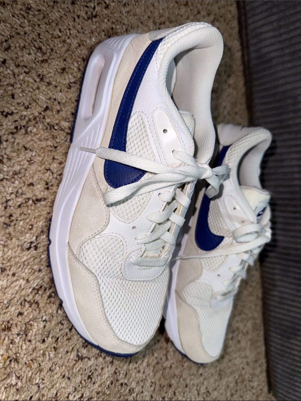 Nike women  White and Blue Casual Sneakers